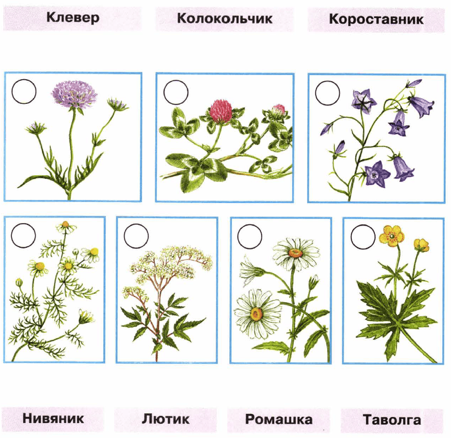 Задание рисунок 1