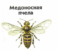 Решение рисунок 1