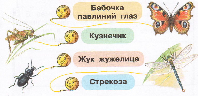 Решение рисунок 1