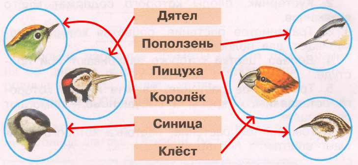 Решение рисунок 1