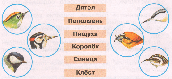 Задание рисунок 1