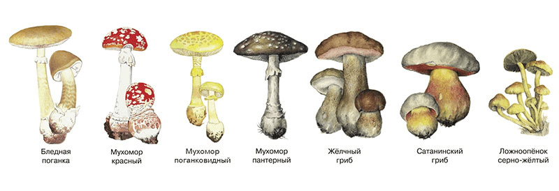 Решение рисунок 4