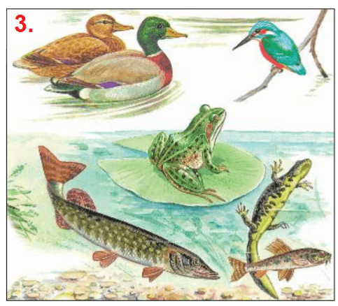 Решение рисунок 3