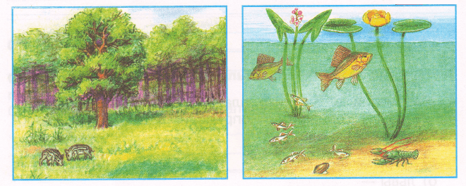 Задание рисунок 1