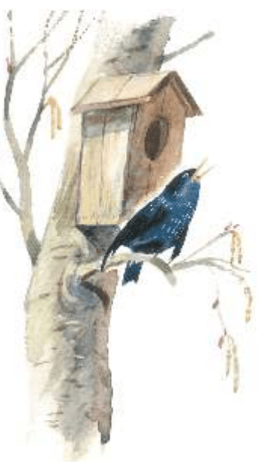 Задание рисунок 2