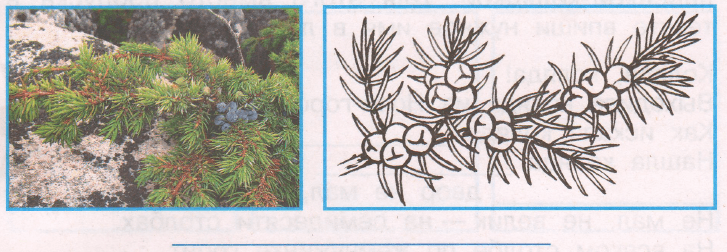 Задание рисунок 1